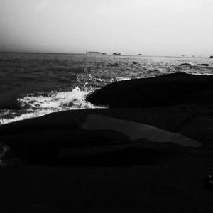 理伦片巜金三角丛林
