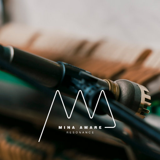 理伦片巜金三角丛林
